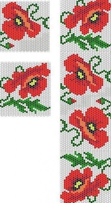 Красочные яркие маки