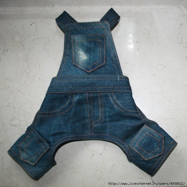 Джинсовый комбинезон для небольших собачек