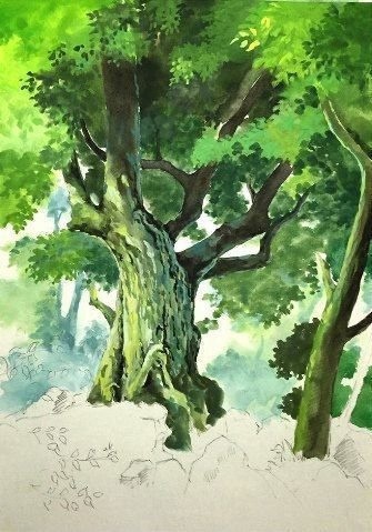 Урок рисования акварелью: старое мощное дерево