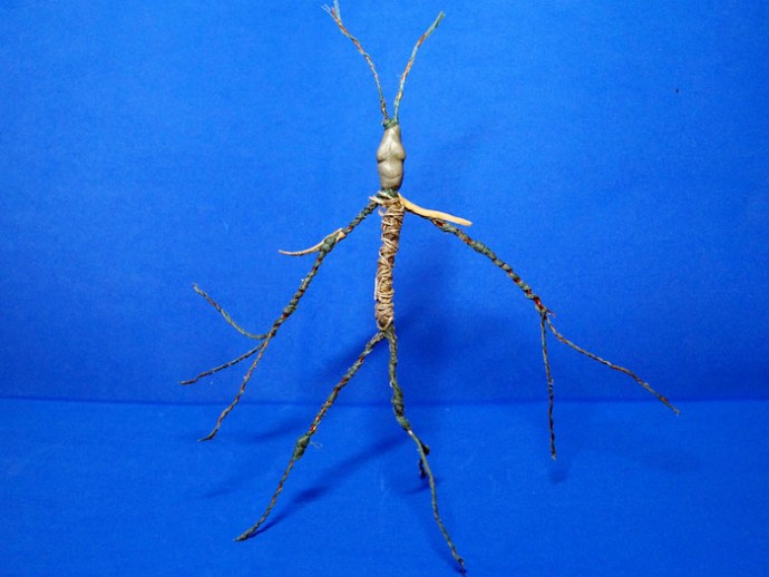 Фантастические твари