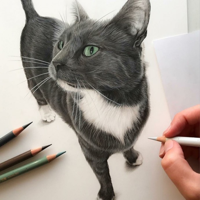 ​Потрясающие рисунки животных цветными карандашами: идеи для вдохновения