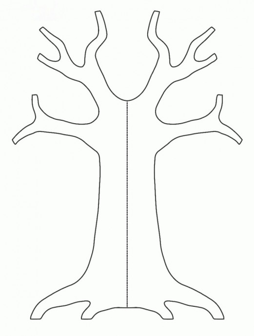 ​Денежное дерево