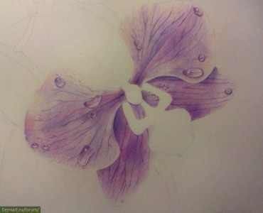 ​Рисуем прекрасную орхидею цветными карандашами
