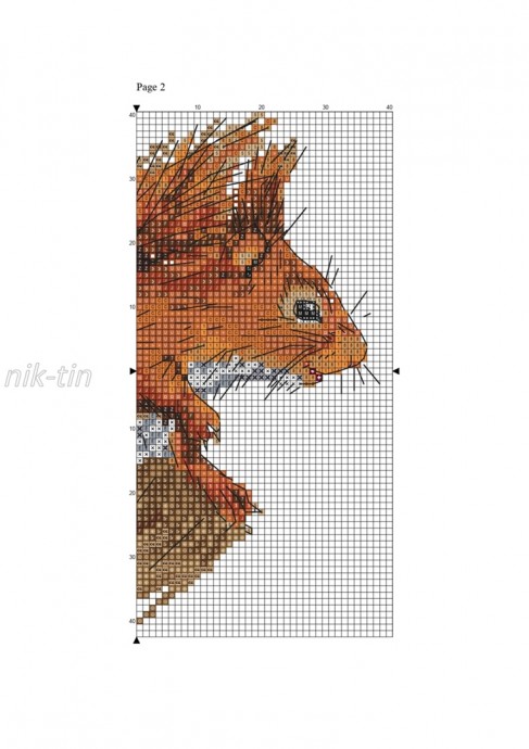 ​Хорошенькая белка