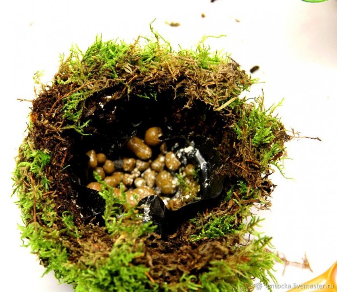 Лесной мох в интерьере