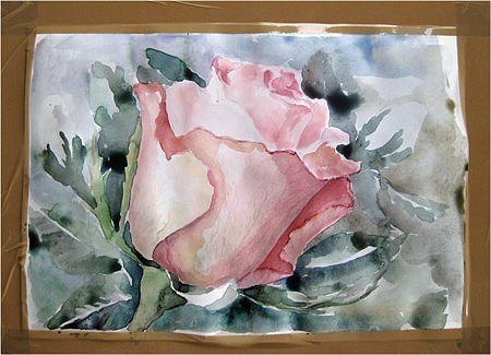 Как нарисовать розу акварелью