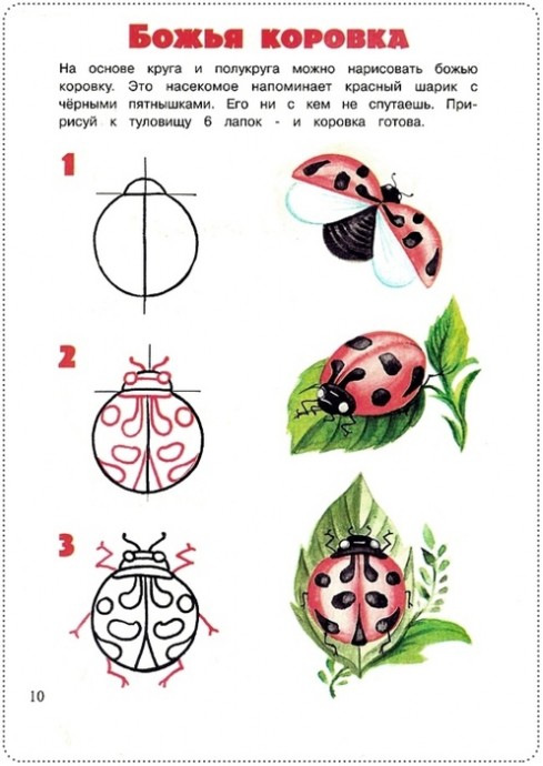 Простые уроки рисования: бабочки и их друзья