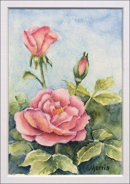 ​Рисуем чудесные розы