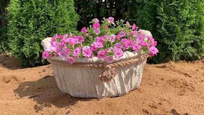Клумба из прохудившегося тазика