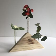 Необычные деревянные вазочки: свежие идеи для творчества
