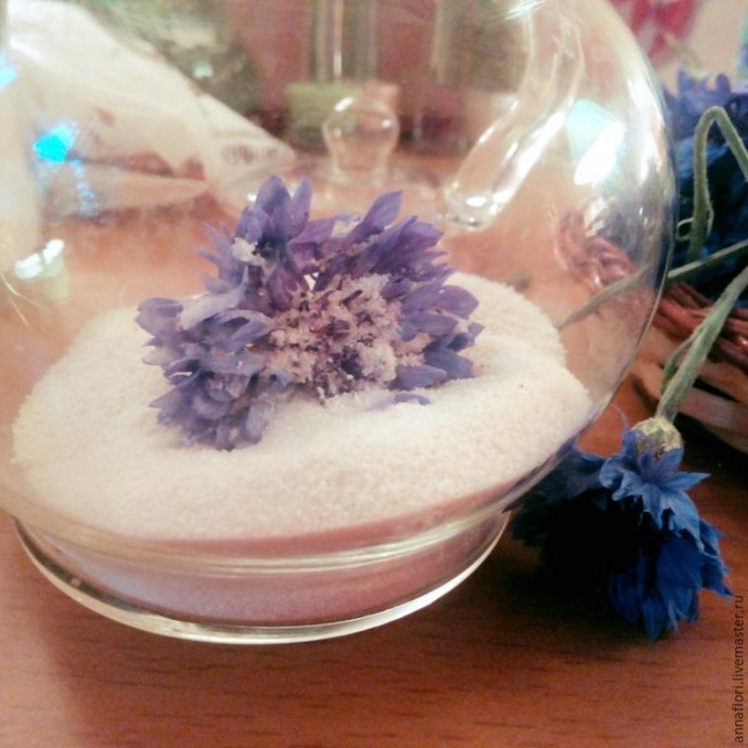 6 способов засушить васильки