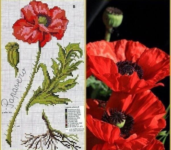 Замечательная яркая идея вышивки: алые маки