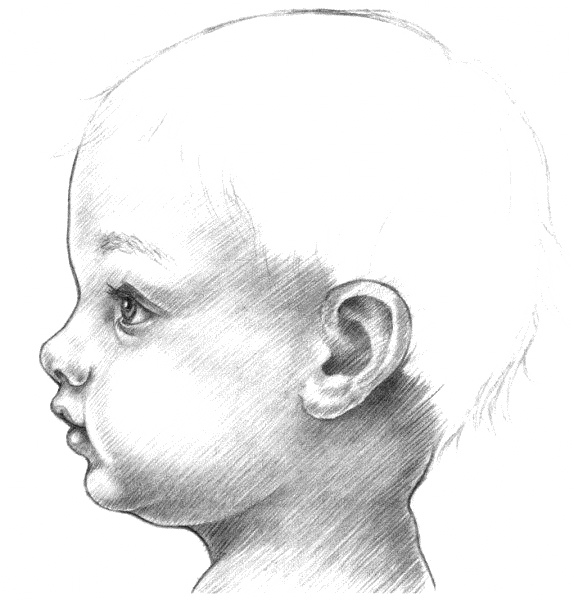 Рисуем лицо младенца: пошаговый урок