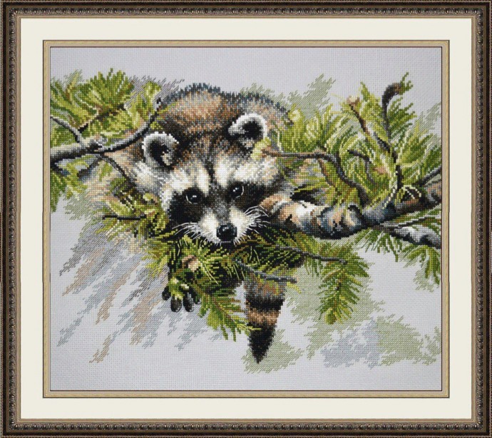 Вышиваем енота Вышиваем енота