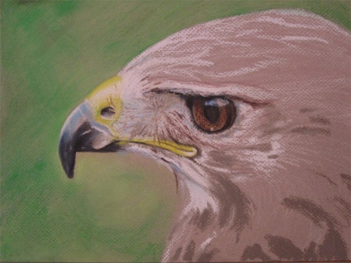 ​Рисуем орла