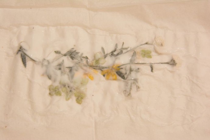 Закладка-гербарий "Мгновения"