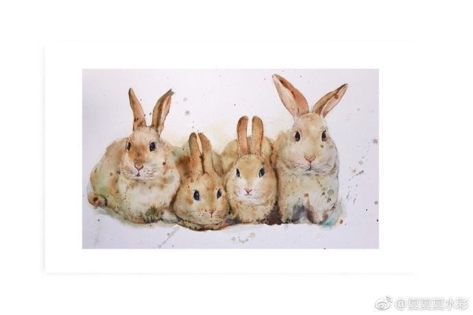 Кролики акварелью