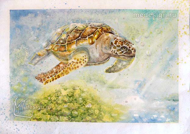 Урок рисования акварелью: черепаха под водой