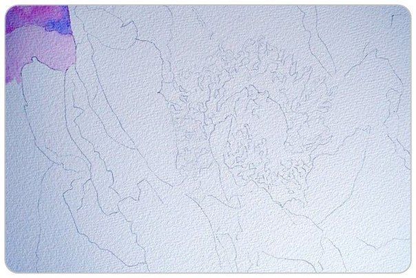 Акварельные цветы, наполненные солнечным светом