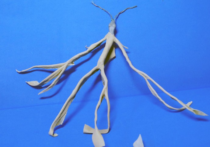 Фантастические твари