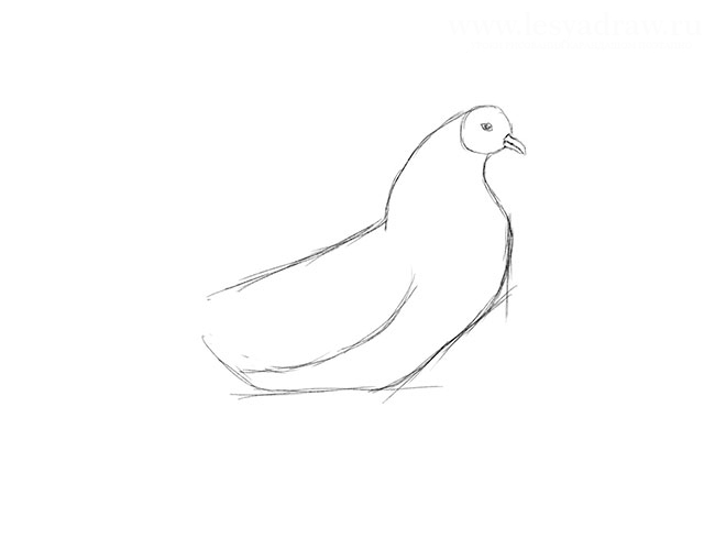 Рисуем петуха