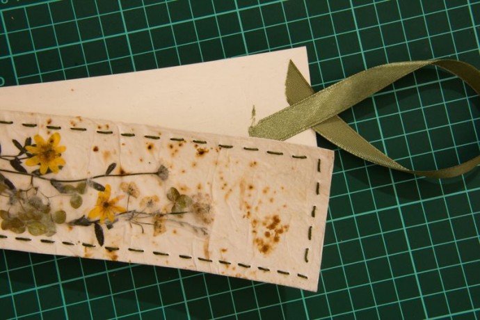 Закладка-гербарий "Мгновения"