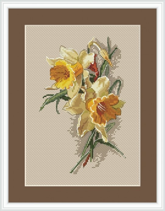 ​Вышиваем чудесные нарциссы