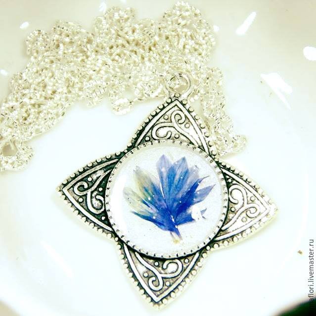 6 способов засушить васильки