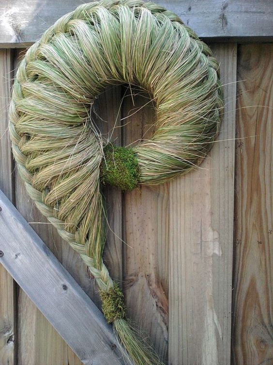 Плетение косичек в саду: идеи