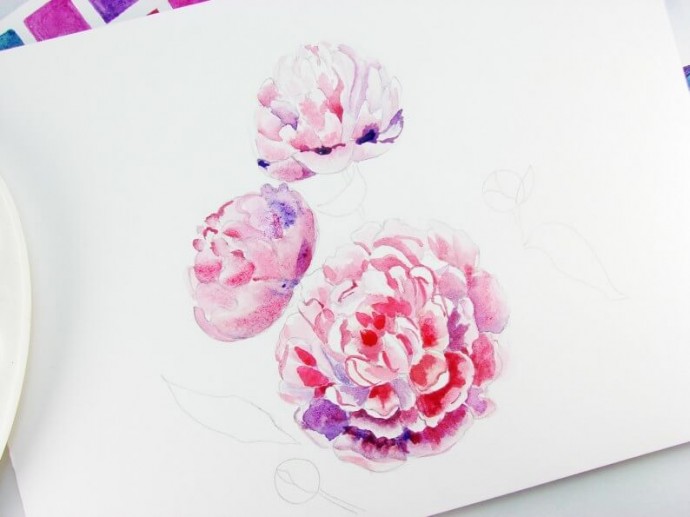 Рисуем пионы акварелью