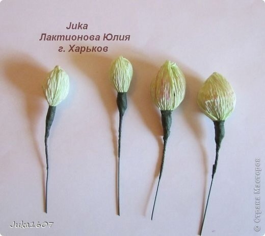 Букет из конфет: мастер-класс Букет из конфет: мастер-класс