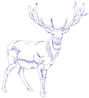 Рисуем оленя: мастер-класс