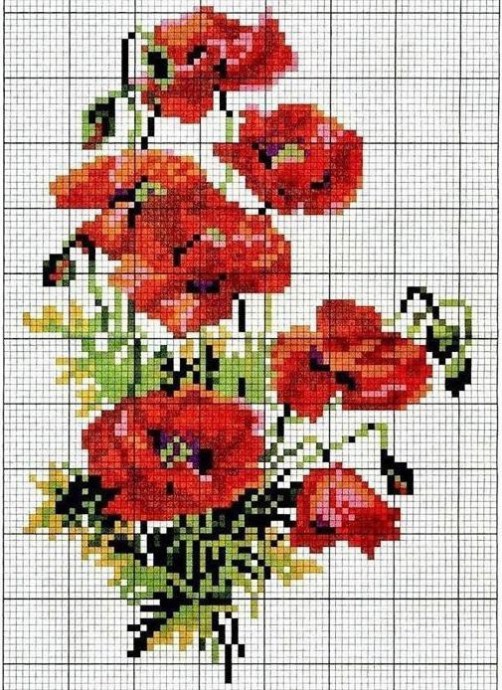 Красочные яркие маки