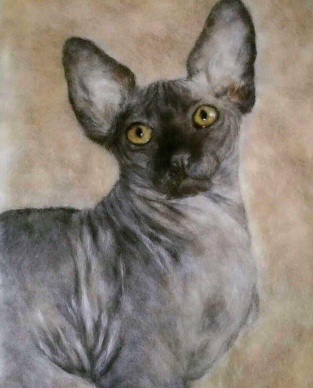 Животные в технике шерстяной акварели