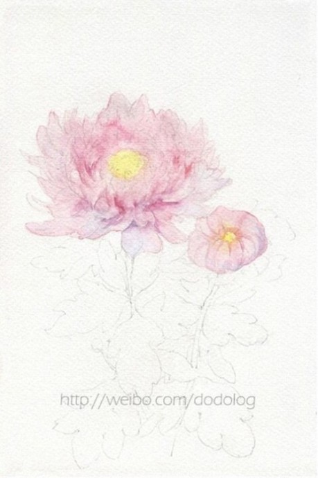 Рисуем нежно-розовую хризантему
