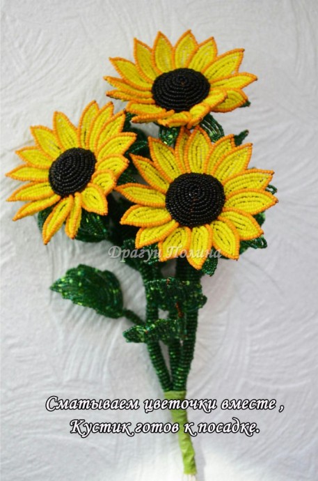 ​Солнечные подсолнухи