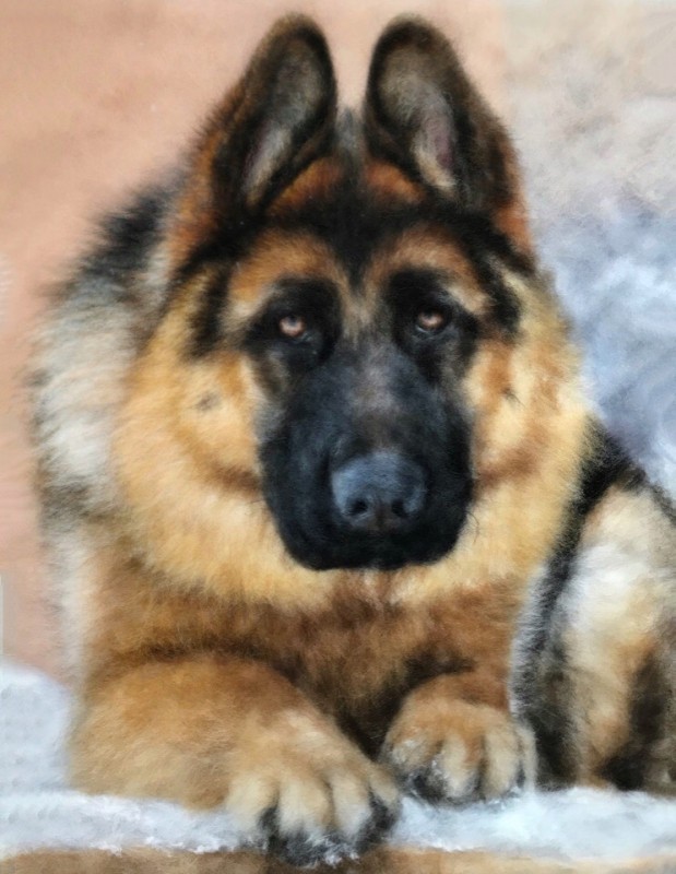 Животные в технике шерстяной акварели