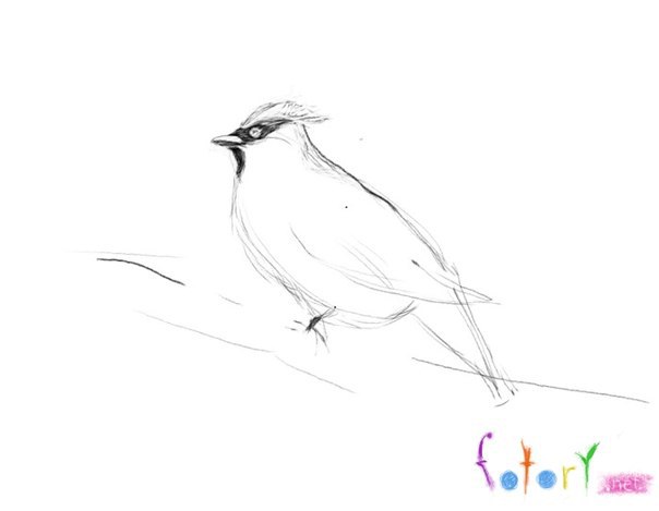 Рисуем птичку на ветке