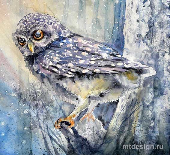 Урок рисования: сова