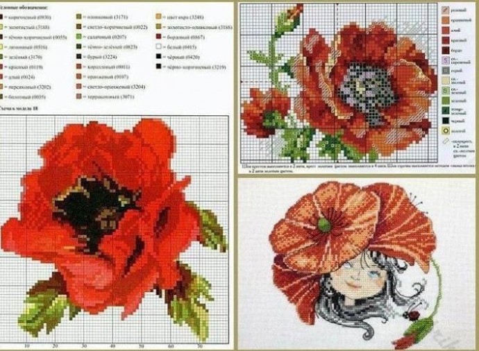 Красочные яркие маки