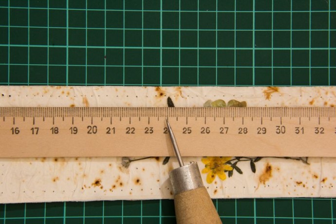 Закладка-гербарий "Мгновения"