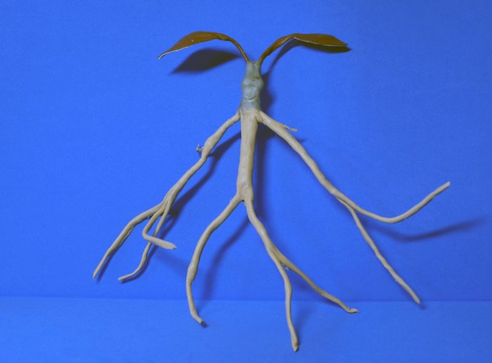 Фантастические твари