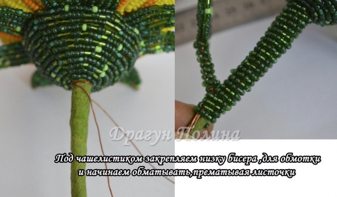 ​Солнечные подсолнухи