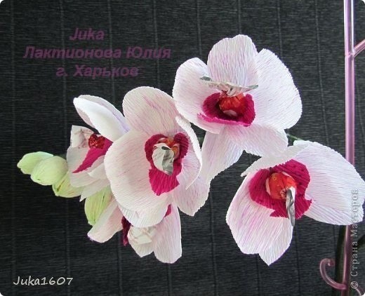 Букет из конфет: мастер-класс Букет из конфет: мастер-класс