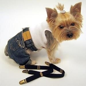 Одежка для маленьких собачек