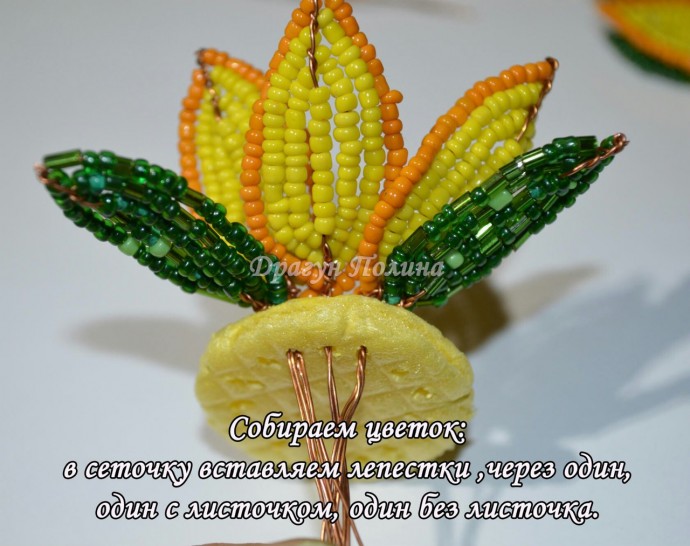 ​Солнечные подсолнухи