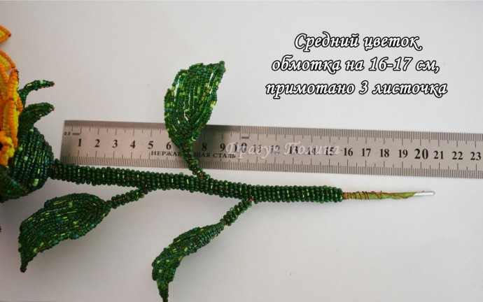 ​Солнечные подсолнухи