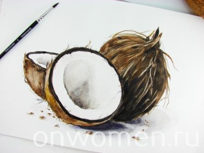 Как нарисовать кокос акварелью