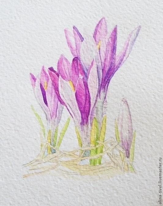 Нежные крокусы