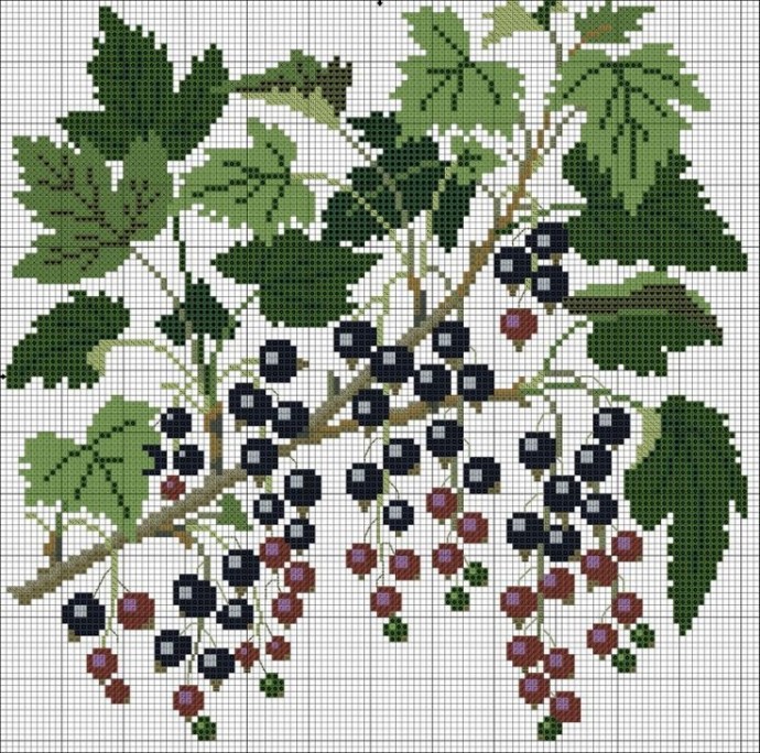 Ягоды и ягодки